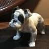 Vintage Rosenthal Bulldog by Fritz Diller c. 1914