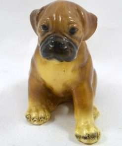 Vintage Mortens Studio Boxer Pup