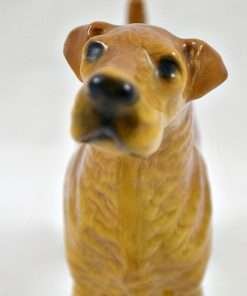 Scottish Welsh Terrier