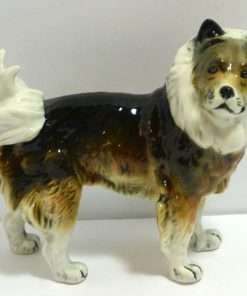 Karl Ens Keeshond Wolfsspitz Dog close