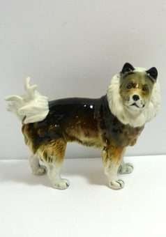 Karl Ens Keeshond Wolfsspitz Dog