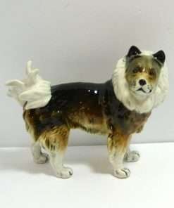 Karl Ens Keeshond Wolfsspitz Dog