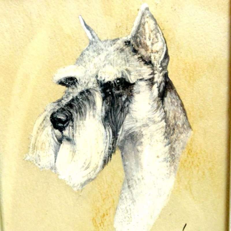 Schnauzer Collectibles