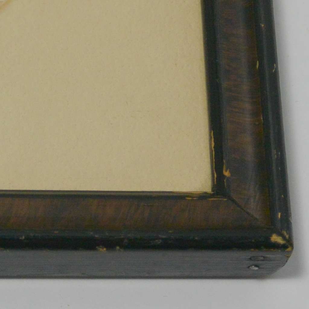 Vintage Needlepoint Brittainy Spaniel Portrait c. 1940's #2 - A Dogs Tale Collectibles