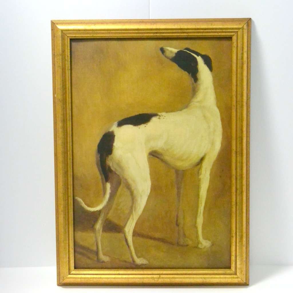 Vintage Greyhound Dog Framed Art Print #5 - A Dogs Tale Collectibles