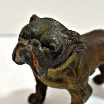 Antique Cold Painted Bulldog