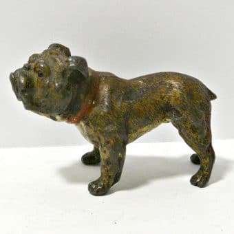 Cold Painted Bronze Bulldog