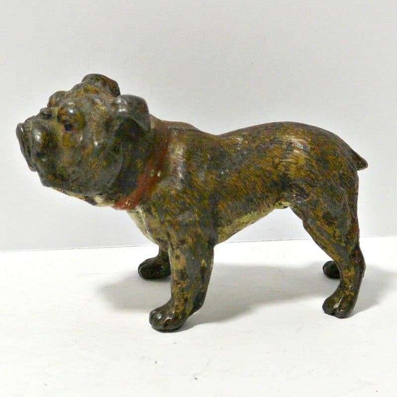 Cold Painted Bronze Bulldog