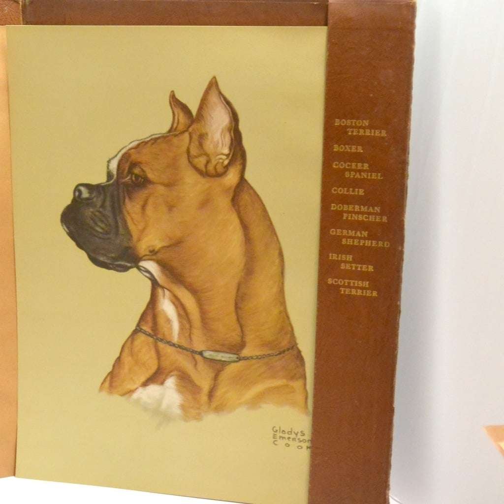 Gladys Emerson Cook Portfolio of 8 Purebred Dogs 1947 First Edition - Image 9