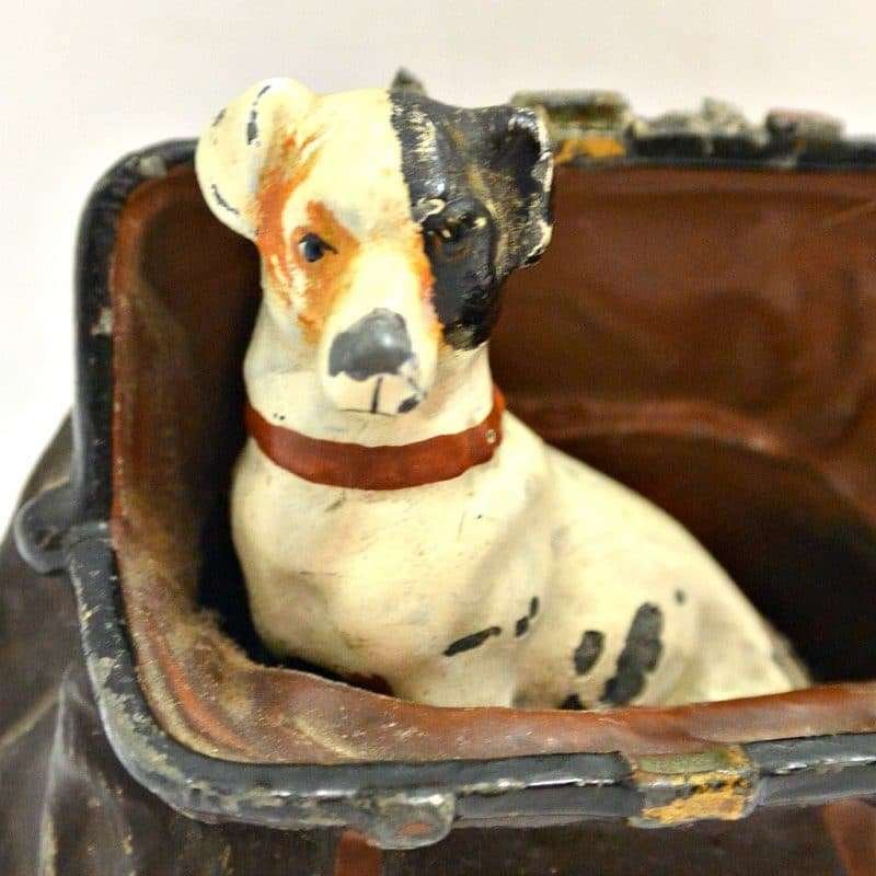 Jack Russel in a Bag