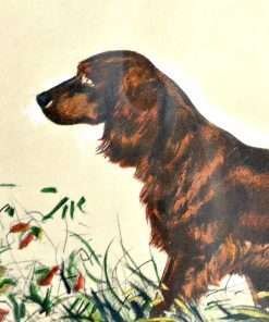 Irish Setter Dog Lithograph by Richard Thompson Close 2