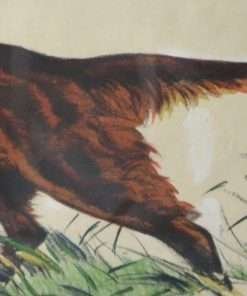 Irish Setter Dog Lithograph by Richard Thompson Close1