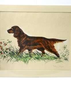 Richard Thompson Irish Setter Lithograph