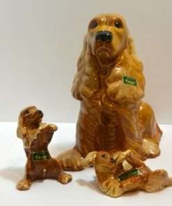 Cocker Spaniel family