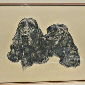 Black English Cocker Spaniel Pair Portrait Close 5