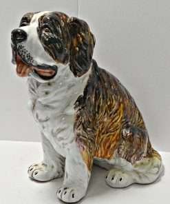 St. Bernards