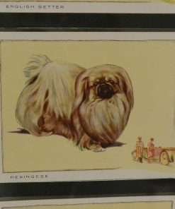 cigarette cards 5