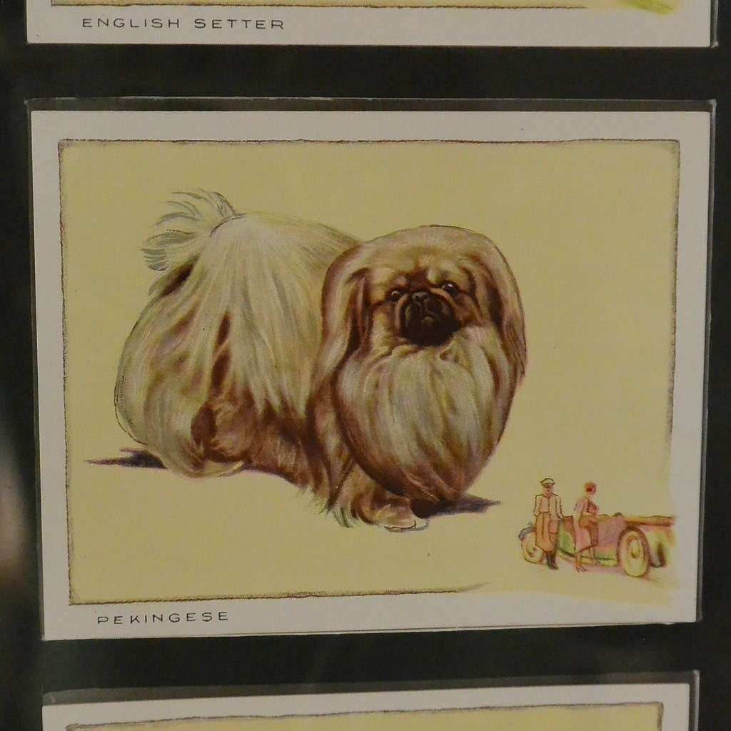 Cigarette Cards Framed Dog Series c.1930 #3 - A Dogs Tale Collectibles