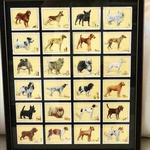 dog cigarette cards Dogs, by Wardle 1929 | 50 Players | 1920's Breed Cigarette Cards Cigarette cards set, Famous Dog