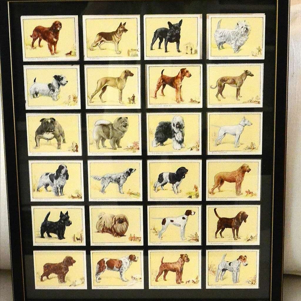 Cigarette Cards Framed Dog Series c.1930 #5 - A Dogs Tale Collectibles