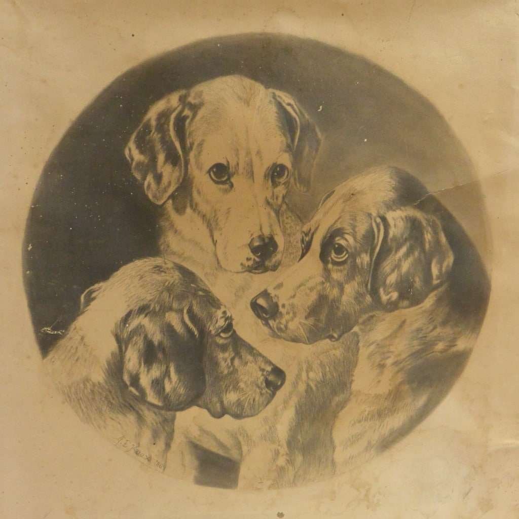 19th Century Print "Three Pals" Hunting Dog Portrait c.1901 - Image 2