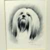 Lhasa Apso Dog Pencil Portrait Artist-Signed