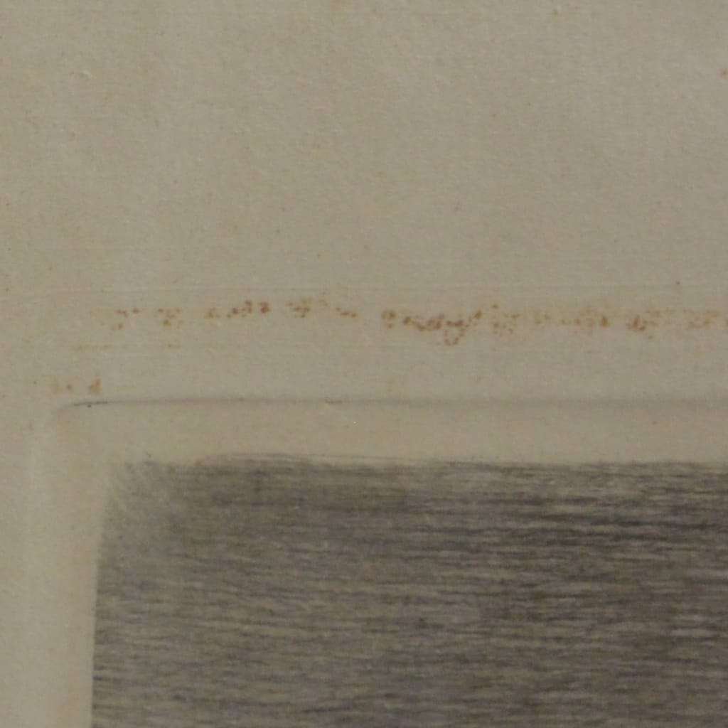 Vintage Wire-Haired Fox Terrier Dog Portrait Signed Kurt Meyer-Eberhardt #5 - A Dogs Tale Collectibles