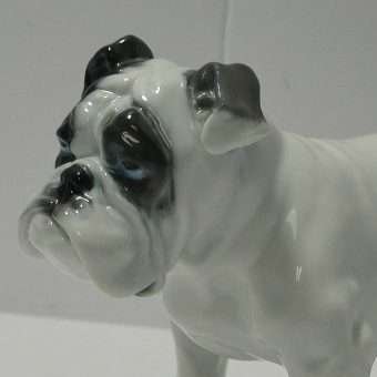 Vintage Rosenthal Bulldog by Fritz Diller close