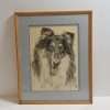 Original Pen & Ink Collie Portrait Framed