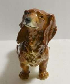 Karl Ens Long-Haired Dachshund