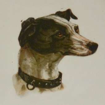 Antique Sevres Greyhound/Whippet Portrait Plate Close