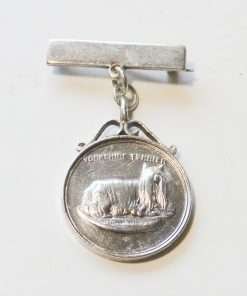 Antique Edwardian Sterling Silver Yorkshire Terrier Watch Fob Pendant
