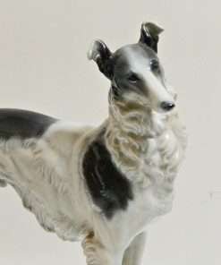 Borzoi