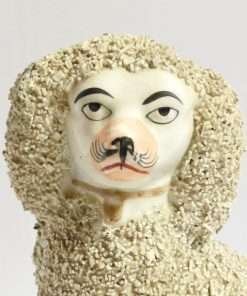 Staffordshire Poodle with Pair of Pups Close