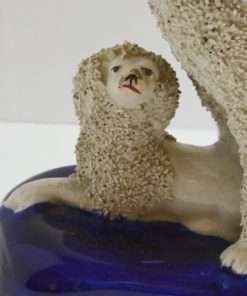 Staffordshire Poodle with Pair of Pups Close 3