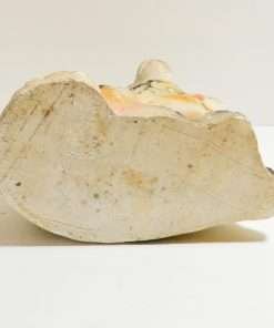 Vintage Chalkware Staffordshire Spaniel Dog Bottom