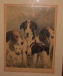 Sporting Dogs Oleograph Close