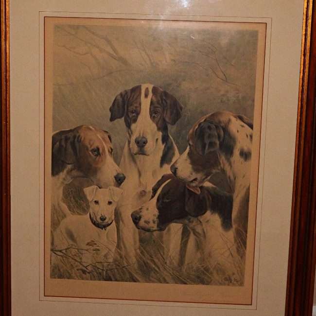 Sporting Dogs Oleograph Close