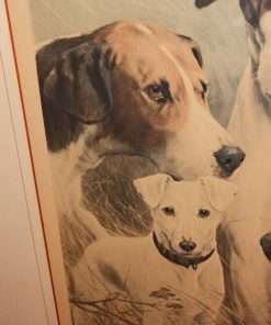 Sporting Dogs Oleograph Close 2