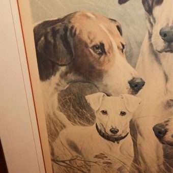 Sporting Dogs Oleograph Close 2