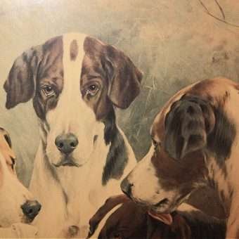 Sporting Dogs Oleograph Close 3