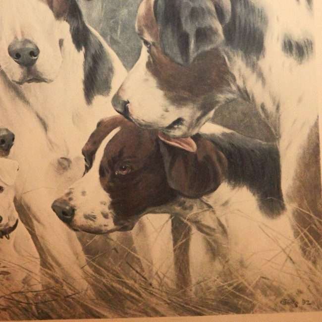 Sporting Dogs Oleograph Close 4