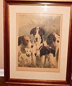 Sporting Dogs Oleograph Pitcture