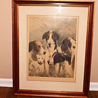 Sporting Dogs Oleograph Pitcture