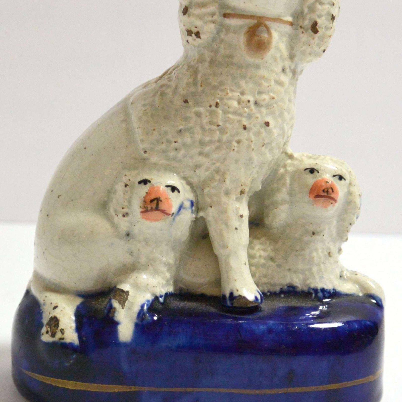 Staffordshire Poodle with Puppies Close2