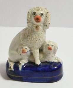 Staffordshire Poodle with Puppies