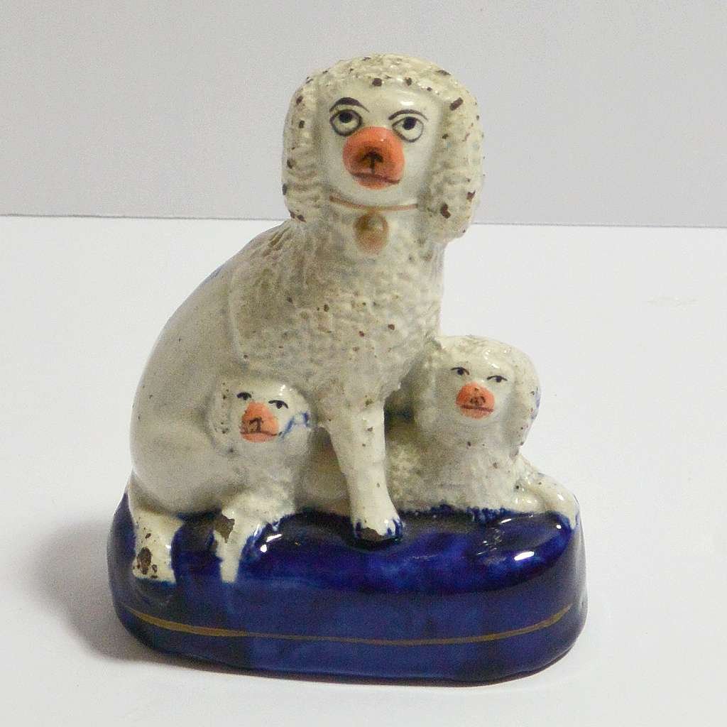 Staffordshire Poodle with Puppies