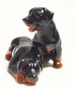 Vintage Rottweiler