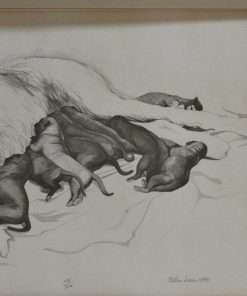 Limited Edition Wolfhound Puppy Litter Print