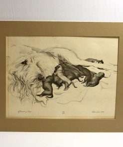 Vintage Wolfhound Puppy Litter Print